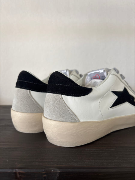 Ishikawa stella nera